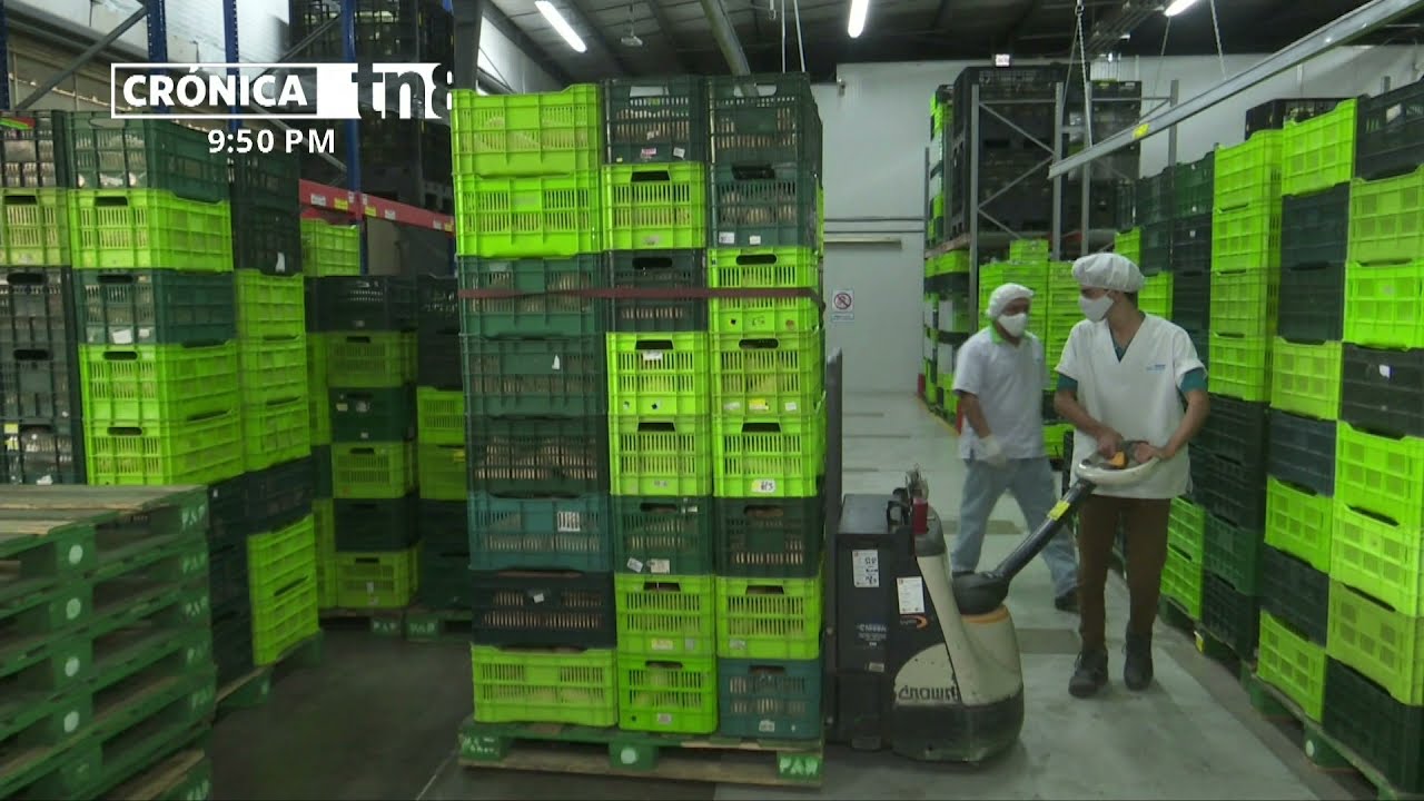 Sostenibilidad Eléctrica en Tiendas de Lugo
