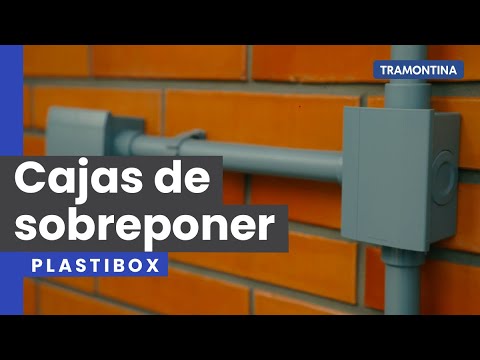 Protección Integral en Locales Comerciales con Instalaciones Eléctricas
