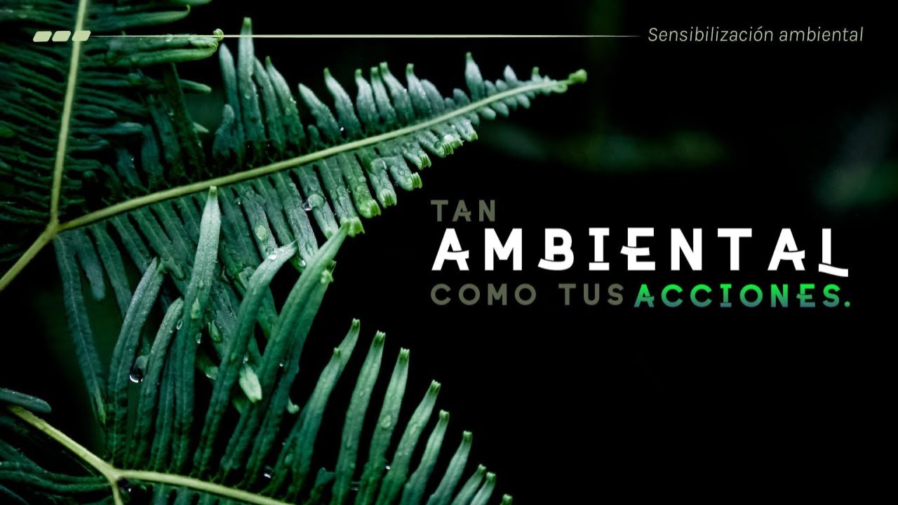 Beneficios Ambientales del Ahorro Energético